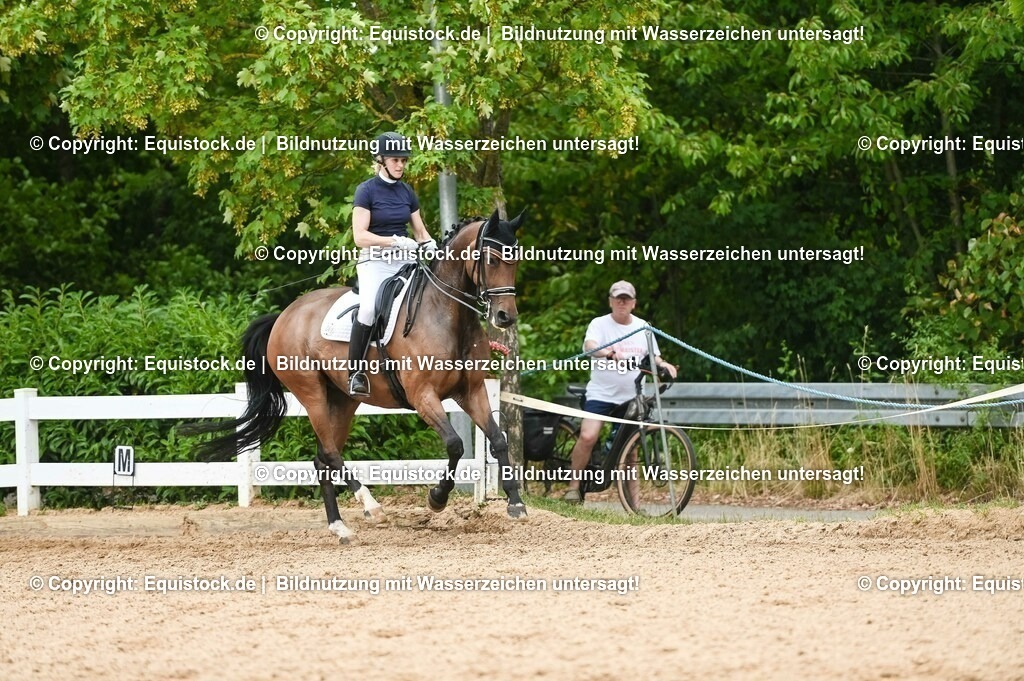 20230716_01_Dressurprüfung Kl.M_0442 | equistock