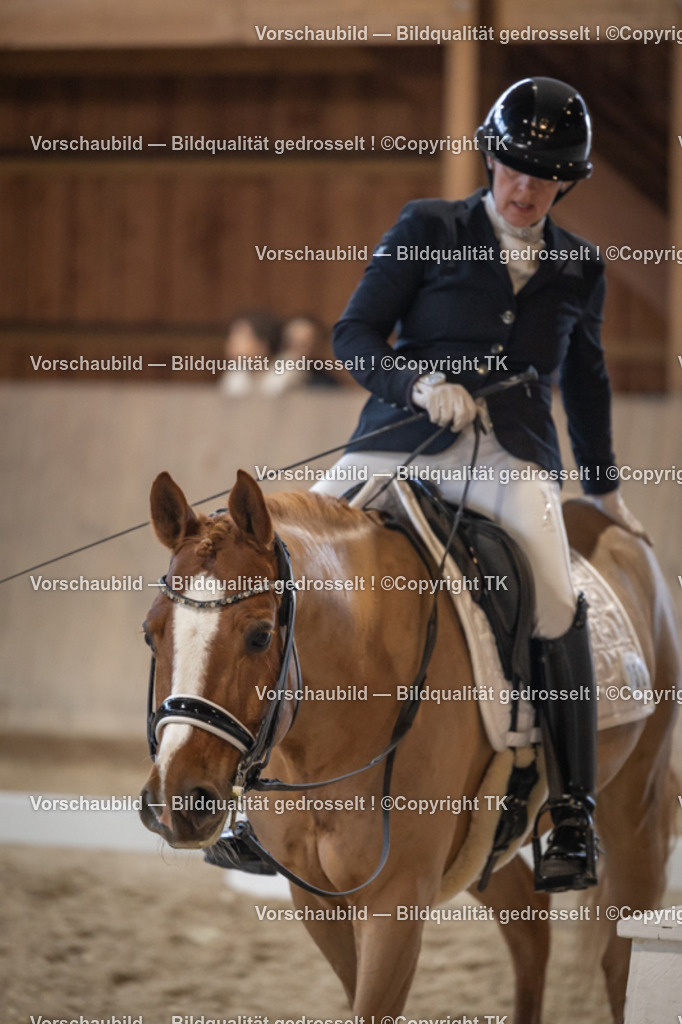 _D5A6437 | Emotionale Pferde- & People-Fotografie rund um Heidelberg, Leimen & Umgebung. Natürliche Fotos von Pferd, Mensch & Familie. Jetzt Termin sichern!