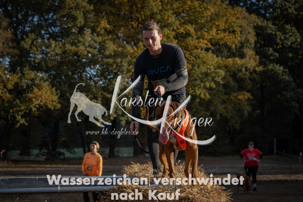 0950_ZZ95083 | kk-dogfotos