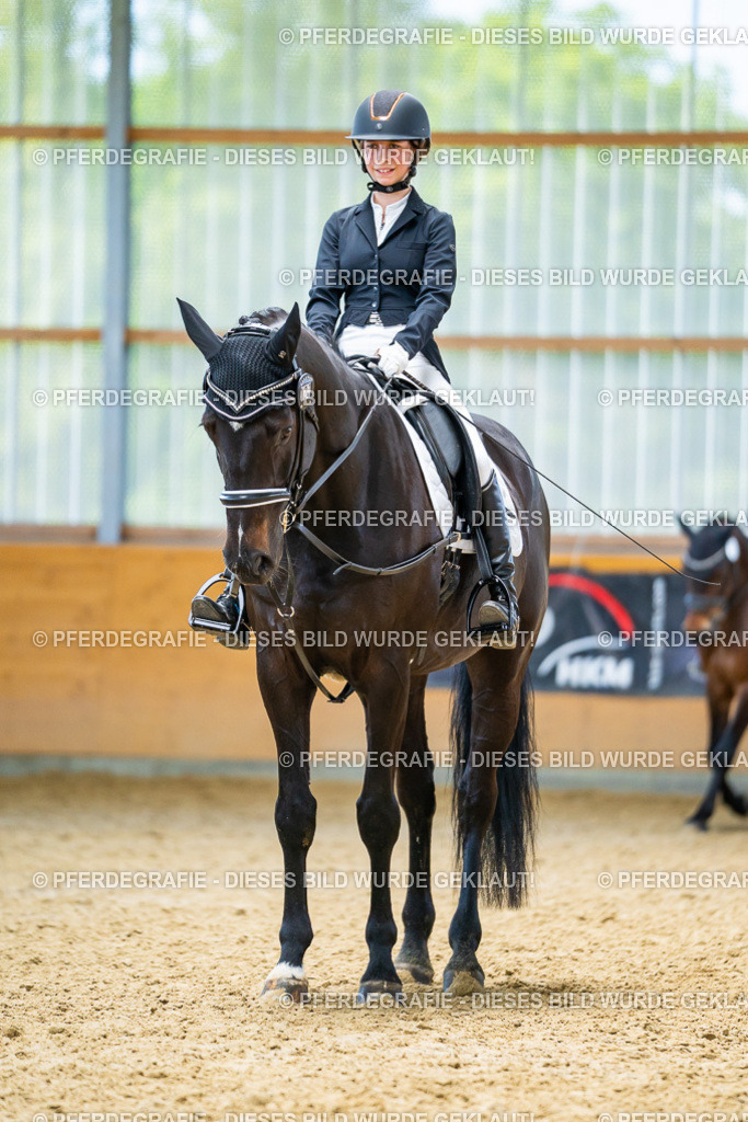 DSC09533 | Pferdegrafie