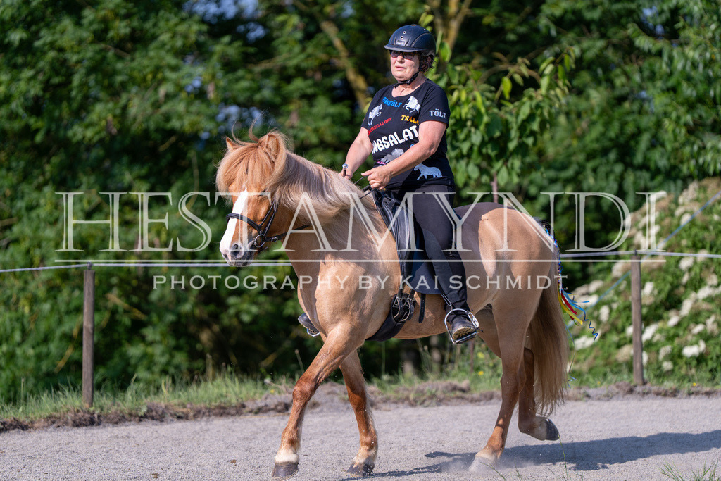 KAI07189 | Ihr sucht einen Fotografen für eure nächste OSI? Ich begleite auch euer Turnier für Islandpferde fotografisch.  - Realisiert mit Pictrs.com