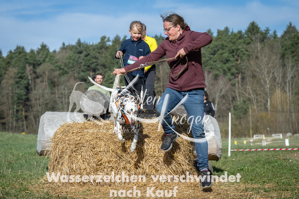 0935_ZZ94442 | kk-dogfotos