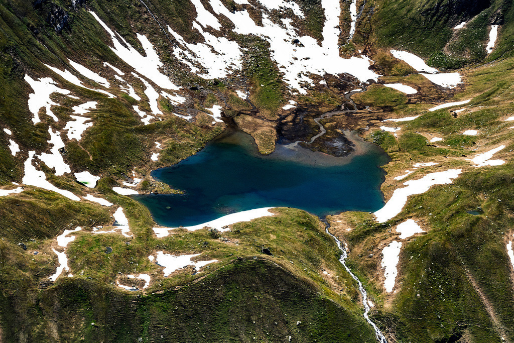 dr__0026407.jpg | RANEBURGER SEE 25.06.2019 Uferbereiche am Seegebiet des Raneburger See in den Alpen in Tirol, Österreich. // Riparian areas on the lake area of Raneburger See in a forest area in in Tirol, Austria. Foto: Daniel Reiter