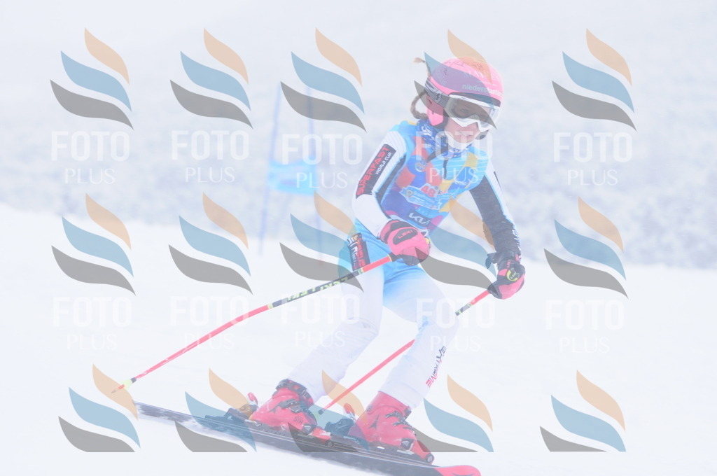 C1964 | holidayphoto