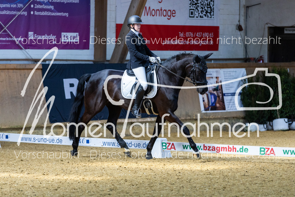 Sth-LPO25-DrR-L-256 | MomenTaufnahmen Pferdesportfotos