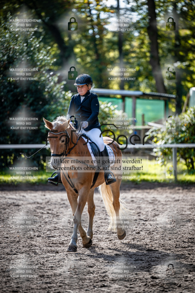 2026-10-Helle-20-4-0040 | Entdecke hochwertige Reitturnierfotos von Foto Oger. Professionell, emotional und authentisch – jetzt Lieblingsmomente im Shop bestellen.Deutschlandweite Turnierfotografie. - Realisiert mit Pictrs.com