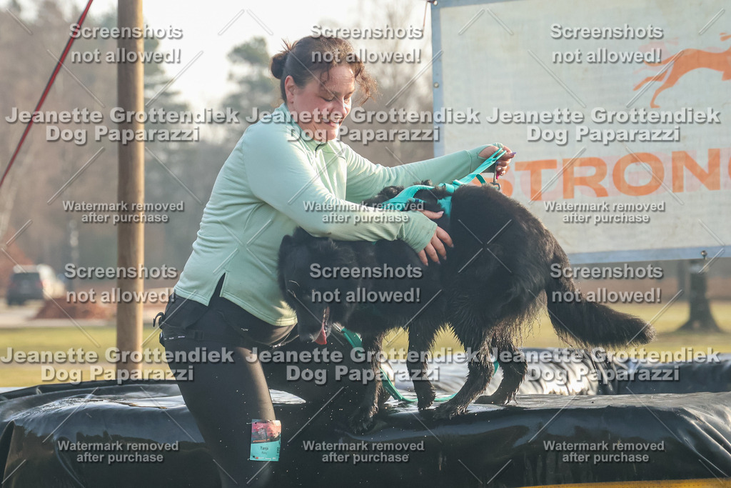 Dog Paparazzi - SD North Sa 830-900-26 | Dog Paparazzi Jeanette Grottendiek Fotografie & Videografie - Realisiert mit Pictrs.com