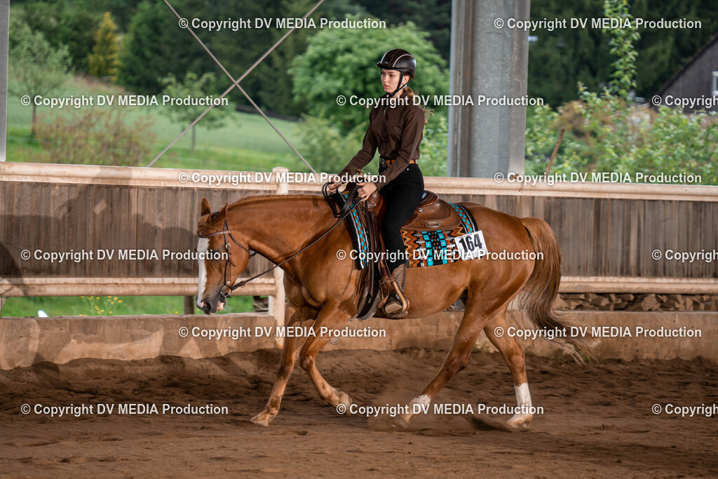 Erbach Tag 1-1013 | dv-media-shop - Realisiert mit Pictrs.com