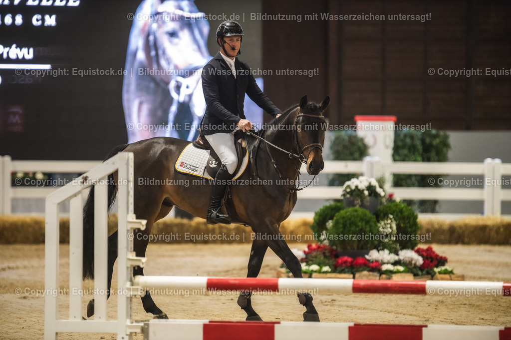 20240302_Hengstvorstellung_Marbach_TOMsPiC_0089-2 | equistock