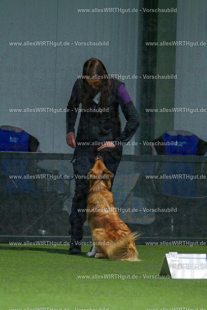 7R507749 | Professionelle Tierfotografie in Mönchengladbach von Daniel Wirth (allesWIRTHgut). Liebevolle & natürliche Bilder von Hunden & Katzen für unvergessliche Erinnerungen.