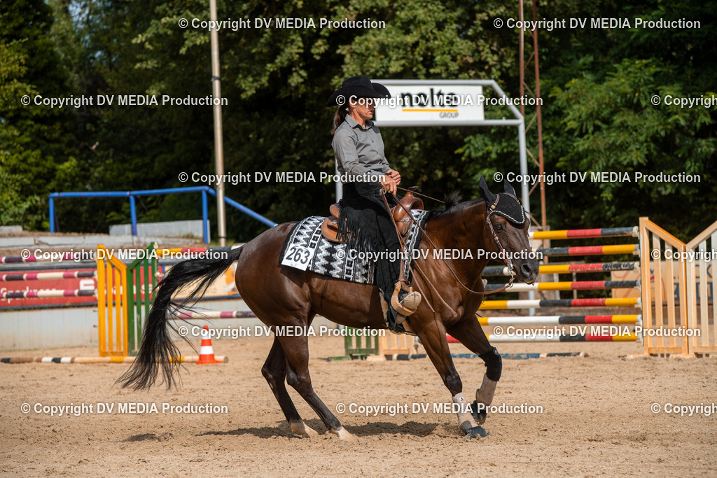 EWP_5909 | dv-media-shop - Realisiert mit Pictrs.com