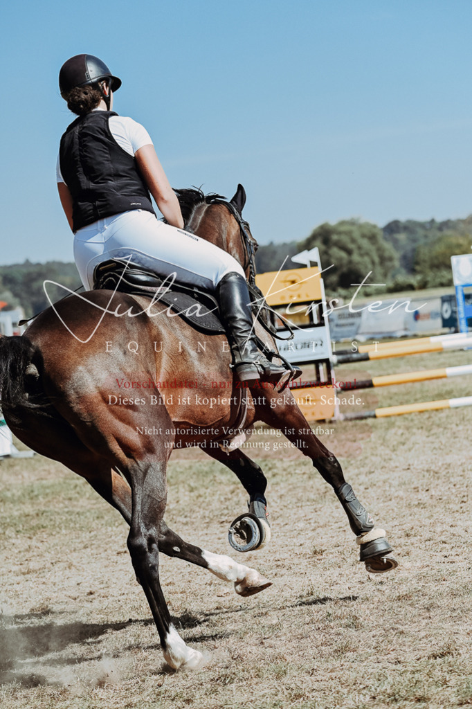 DSC_9861 | Pferde- und Turnierfotografie in Westsachsen. Pferdeportraits, Auftragszeichnungen und intuitive Kunst.