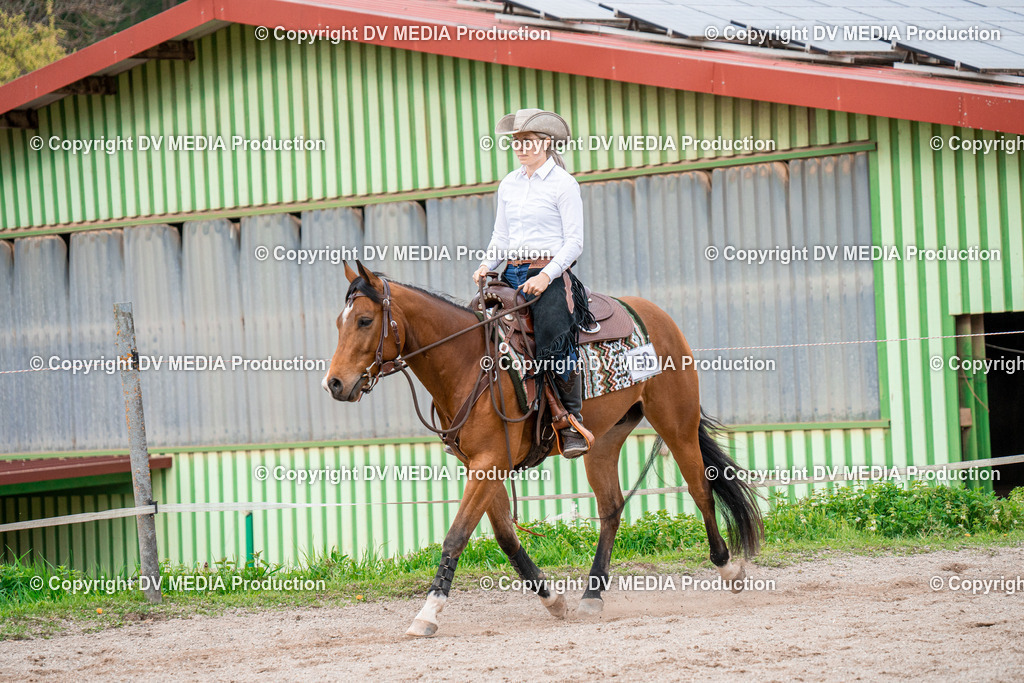 BA301011 | dv-media-shop - Realisiert mit Pictrs.com