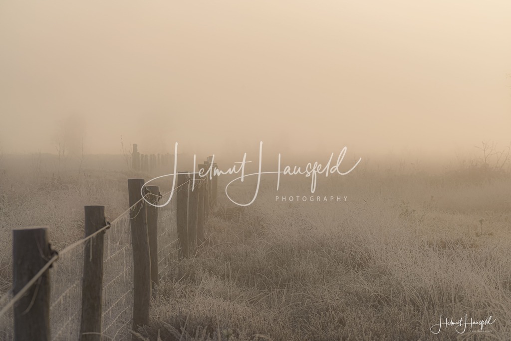 DSC00576 | Landschaftsfotografie, Naturfotografie - Realisiert mit Pictrs.com