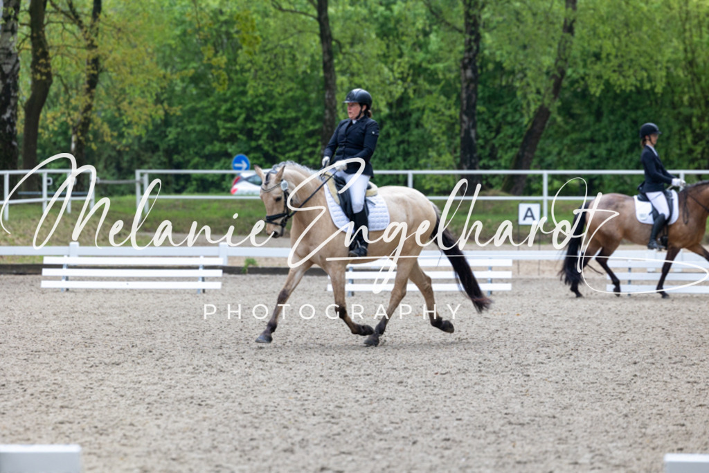 7I8A8310 | melanie-engelhardt-photography - Realisiert mit Pictrs.com