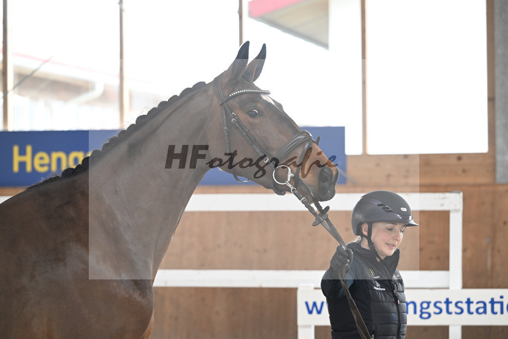 Kat-Nr. 63 Kelly du Tillard v. Aganix Du Seigneur_Keitel_14260368 | hf-fotografie - Realisiert mit Pictrs.com