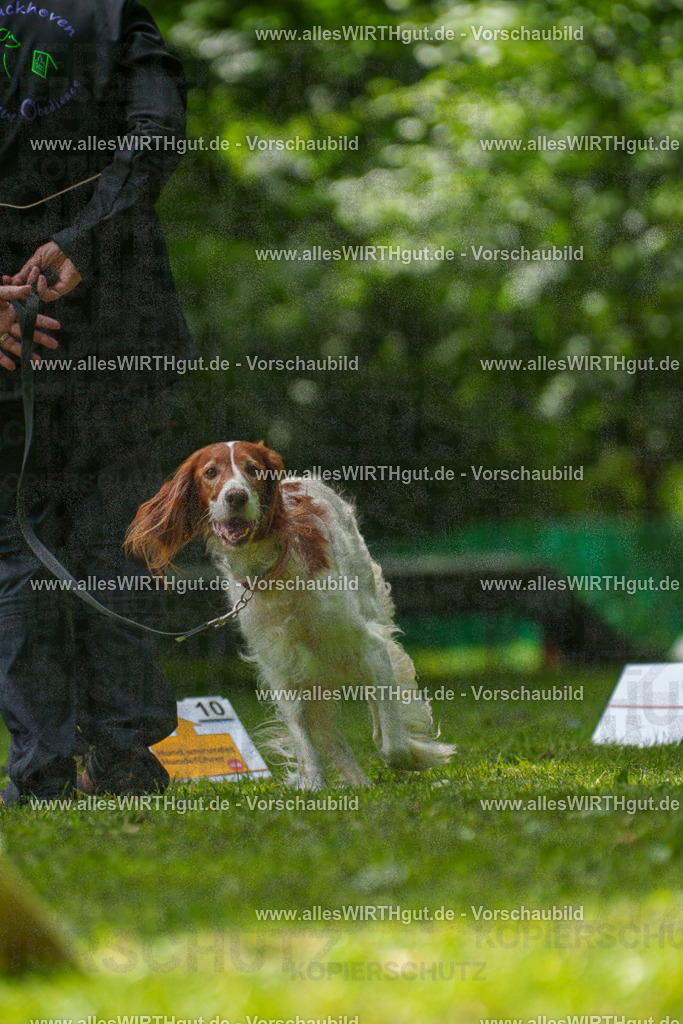 @allesWIRTHgut_Tierfotografie - www.allesWIRTHgut.de - 7R505784 | Professionelle Tierfotografie in Mönchengladbach von Daniel Wirth (allesWIRTHgut). Liebevolle & natürliche Bilder von Hunden & Katzen für unvergessliche Erinnerungen.