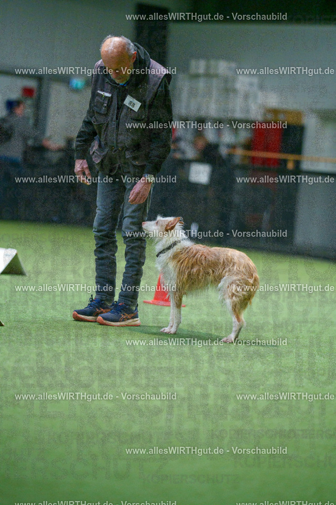 7R503627 | Professionelle Tierfotografie in Mönchengladbach von Daniel Wirth (allesWIRTHgut). Liebevolle & natürliche Bilder von Hunden & Katzen für unvergessliche Erinnerungen.