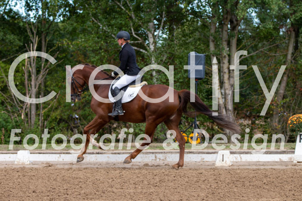 IMG_3790 | Creatify Fotografie