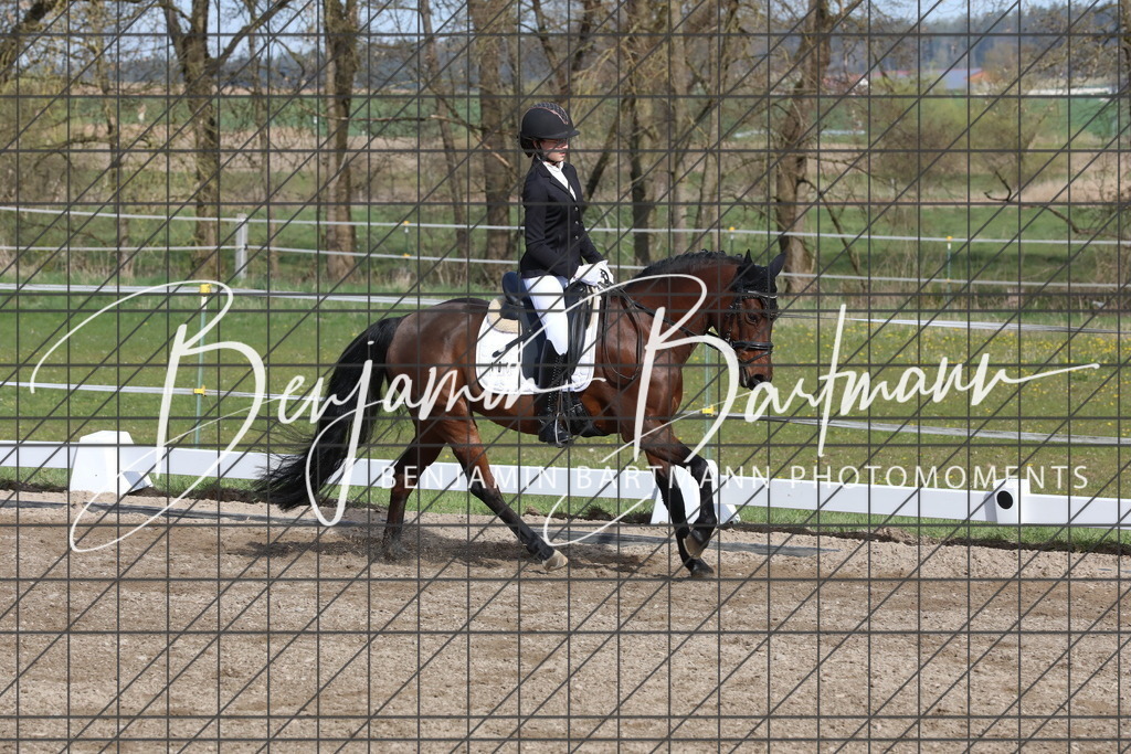 AZ2A2892 | Benjamin Bartmann Photomoments