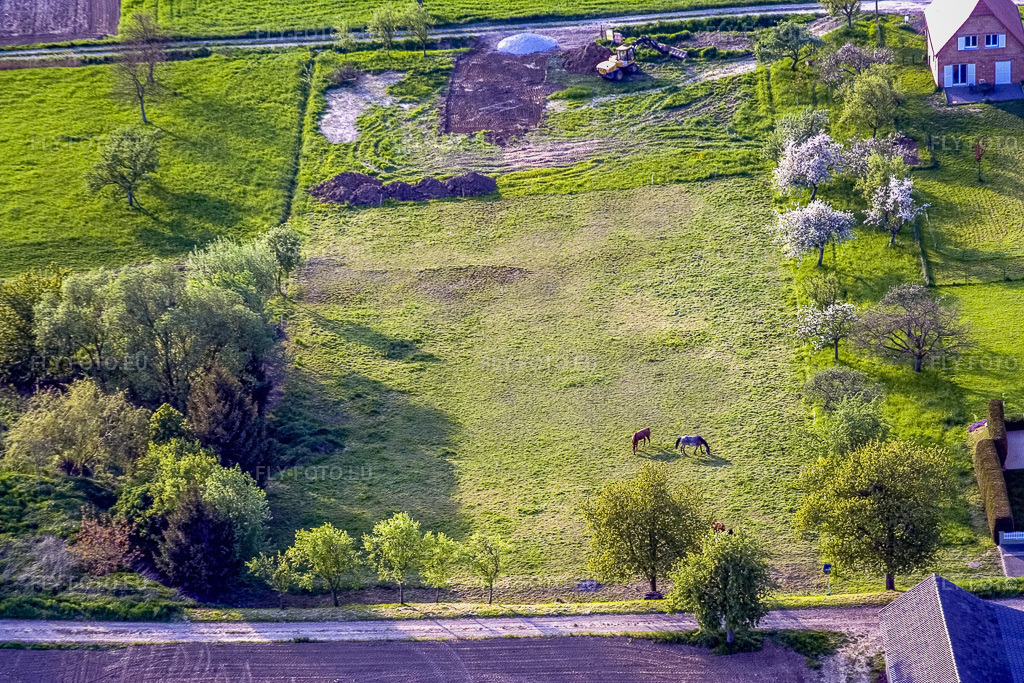 Vue aérienne: Deux chevaux dans un pâturage à Schœnenbourg dans le département Bas Rhin, France – .Photo: IMG_10631.jpg prise le 04/05/2008 par Werner Riehm/FLY-FOTO.eu – Résolution de l'original: 3456 x 2304 px