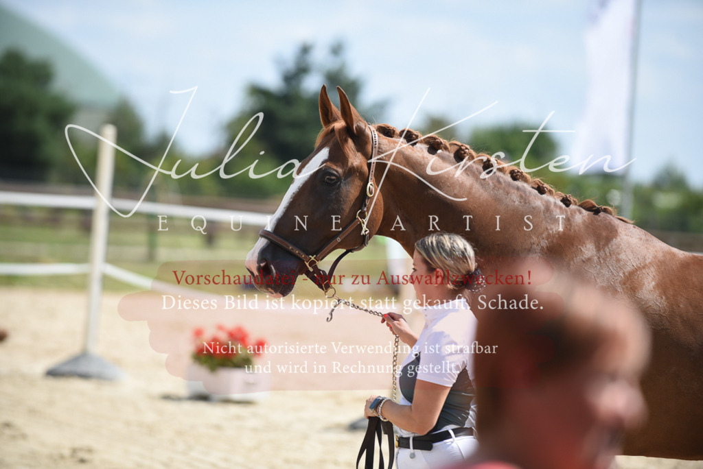 DSC_8978 | Pferde- und Turnierfotografie in Westsachsen. Pferdeportraits, Auftragszeichnungen und intuitive Kunst.