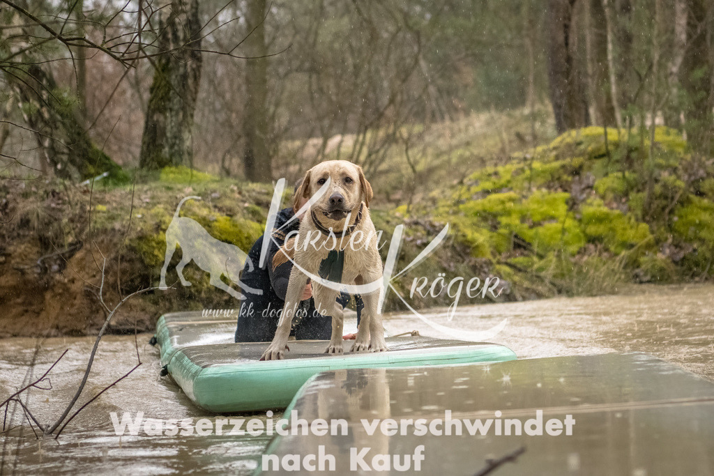 1049_ZZ93530-Bearbeitet | kk-dogfotos