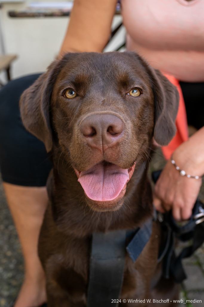 120_DSC_5644 | <Fotografie> <Video> <Film> <Winfried Bischoff> - Realisiert mit Pictrs.com