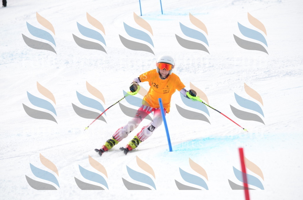 C8277 | holidayphoto