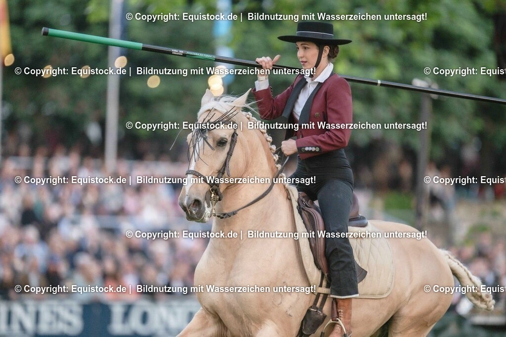 20230526_Pferdenacht_0760 | equistock