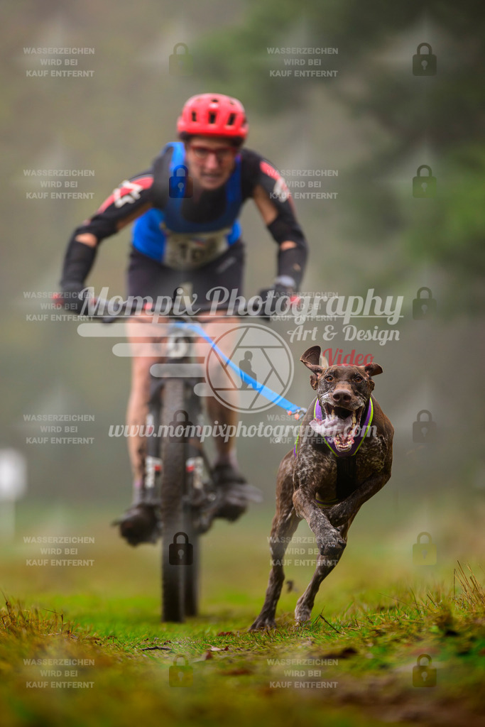 MompixPhotography_Bischwiller2025_Bike-8 | mompixphotography