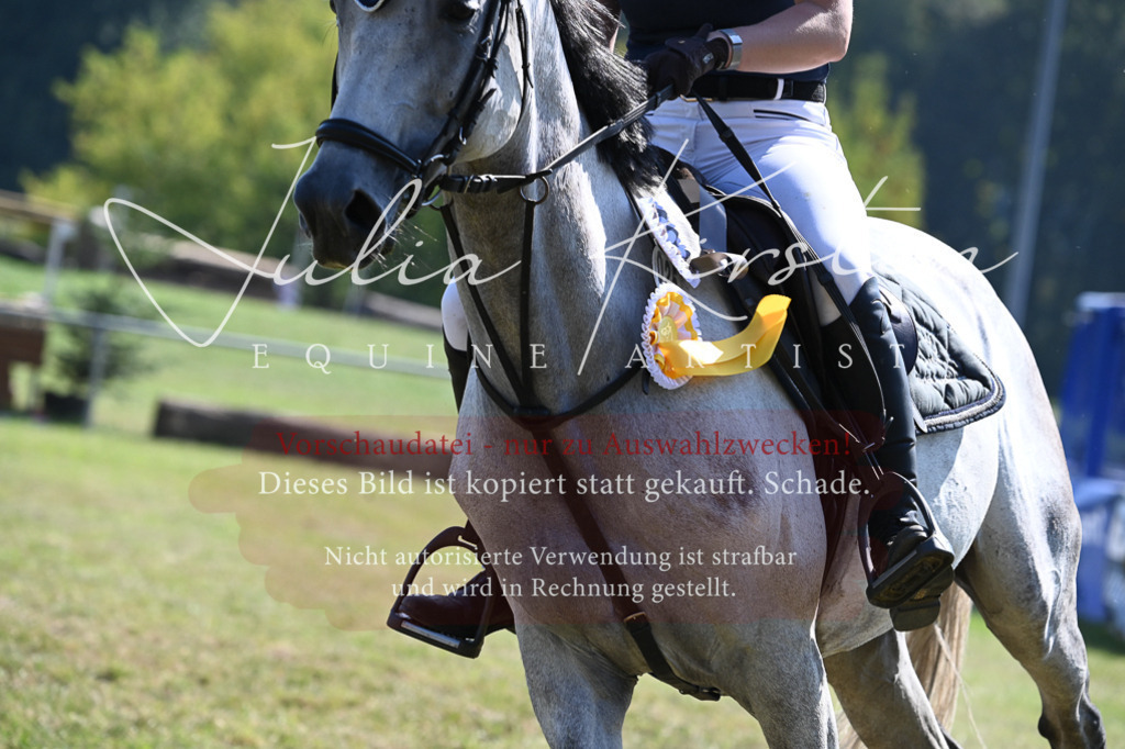 DSC_6507 | Pferde- und Turnierfotografie in Westsachsen. Pferdeportraits, Auftragszeichnungen und intuitive Kunst.