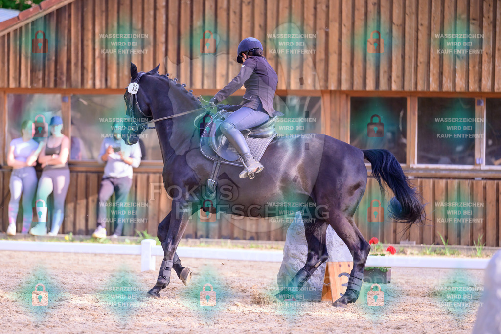 02052026-Giesenbach-03-Speedtrail-0706 | Fokus Hufschlag Fotografie - Realisiert mit Pictrs.com
