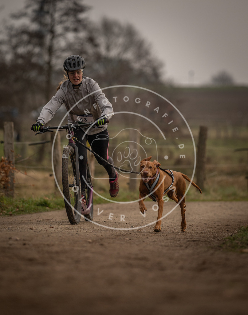 Pfotenfotografie_DV3A4000 | Hundefotografie, Tierfotograf, Pfotenfotografie, Fotoshooting Hund, Hunde Portrait, Hundesport, Hundeportraits, Heideshooting, Hunde, Sportfotograf, Hundefotograf, Turnierhundsport, THS,  - Realisiert mit Pictrs.com