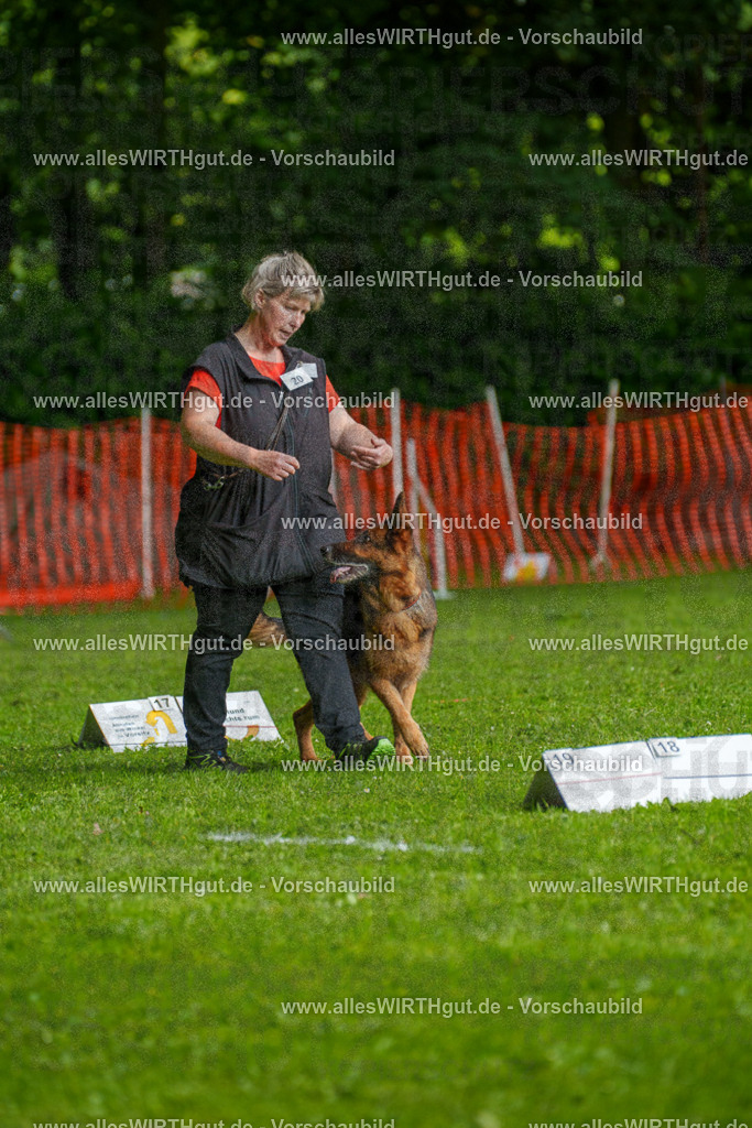 @allesWIRTHgut_Tierfotografie - www.allesWIRTHgut.de - 7R502468 | Professionelle Tierfotografie in Mönchengladbach von Daniel Wirth (allesWIRTHgut). Liebevolle & natürliche Bilder von Hunden & Katzen für unvergessliche Erinnerungen.
