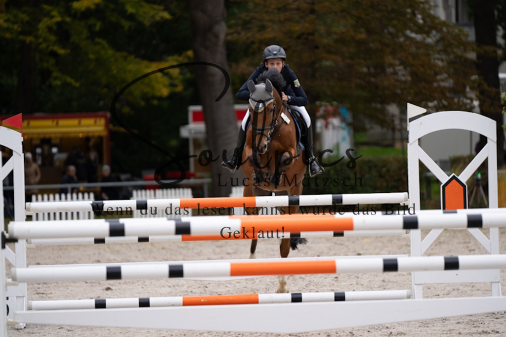 A7V09162 | Pferdefotograf