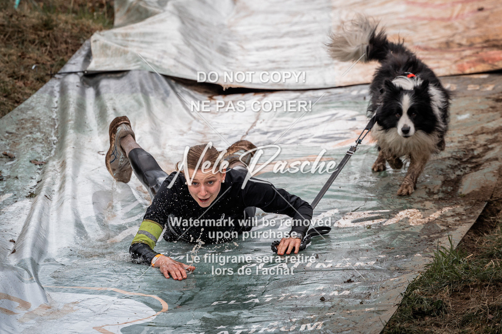 nelerasche_1430-1500_113 | nelerasche