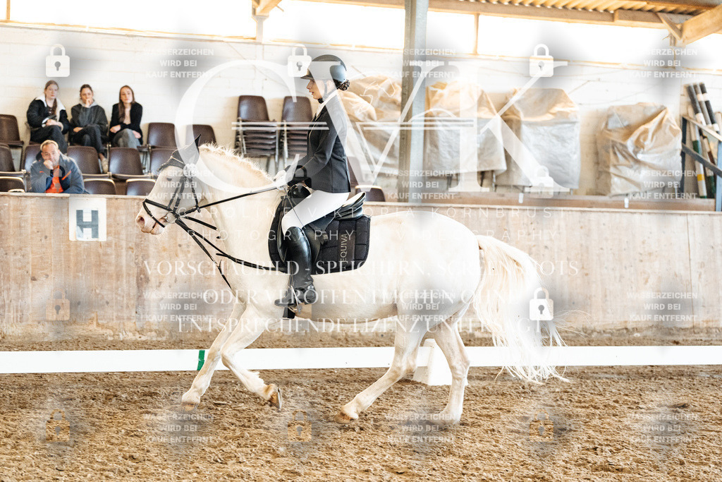 CK900270 | Turnierfotografie Pferdefotografie Trier Rheinland-Pfalz Pferdesport Reitsport Tierfotografie Sportfotografie Pferdevideo Pferdevideografie Equestrianvideography equestrianphotography  - Realized with Pictrs.com