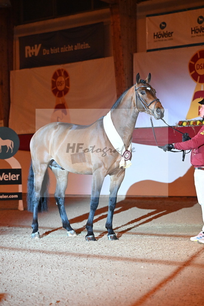 Chaplin_s Touch_Bachl_3261925 | hf-fotografie - Realisiert mit Pictrs.com