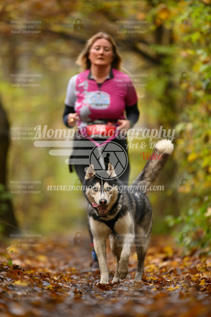 MompixPhotography_CD7S_DI_CCL-179 | mompixphotography