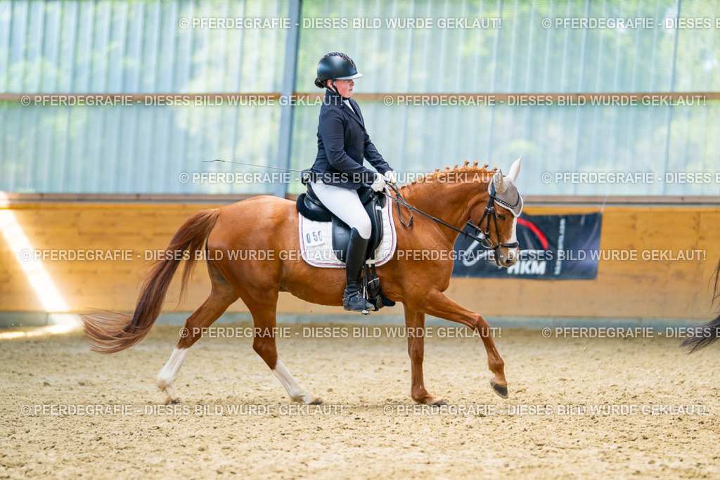 DSC08748 | Pferdegrafie