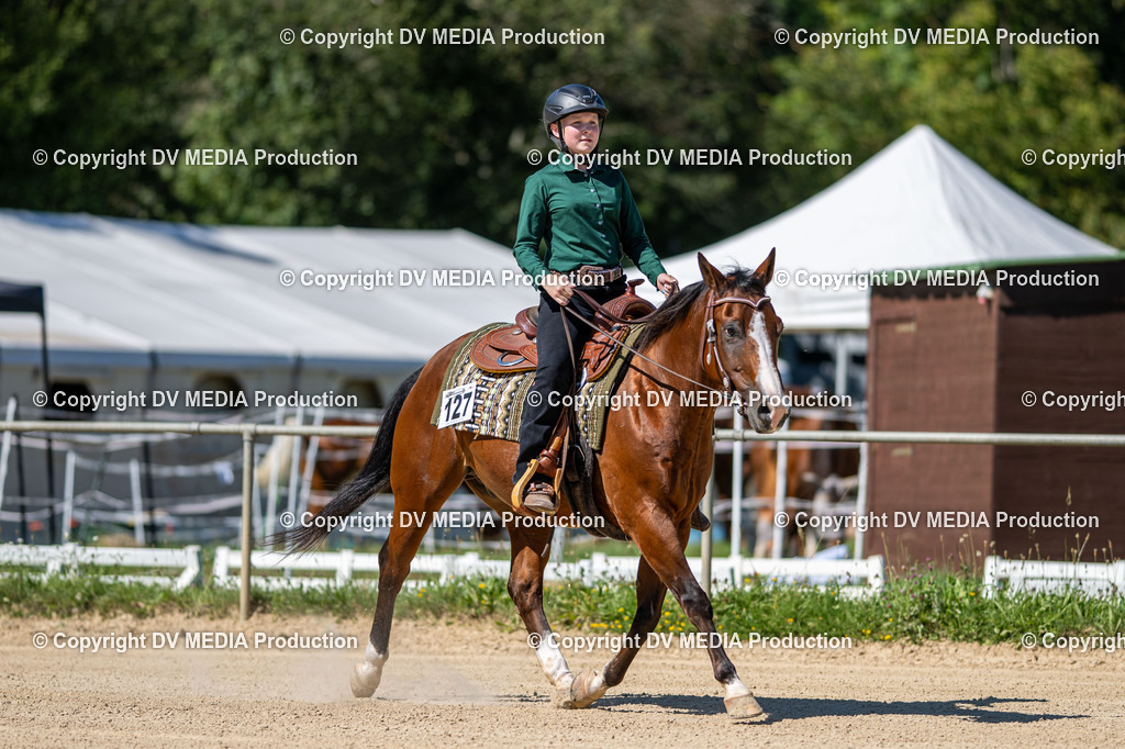 LM Heiligenwald Tag 1-1663 | dv-media-shop - Realisiert mit Pictrs.com