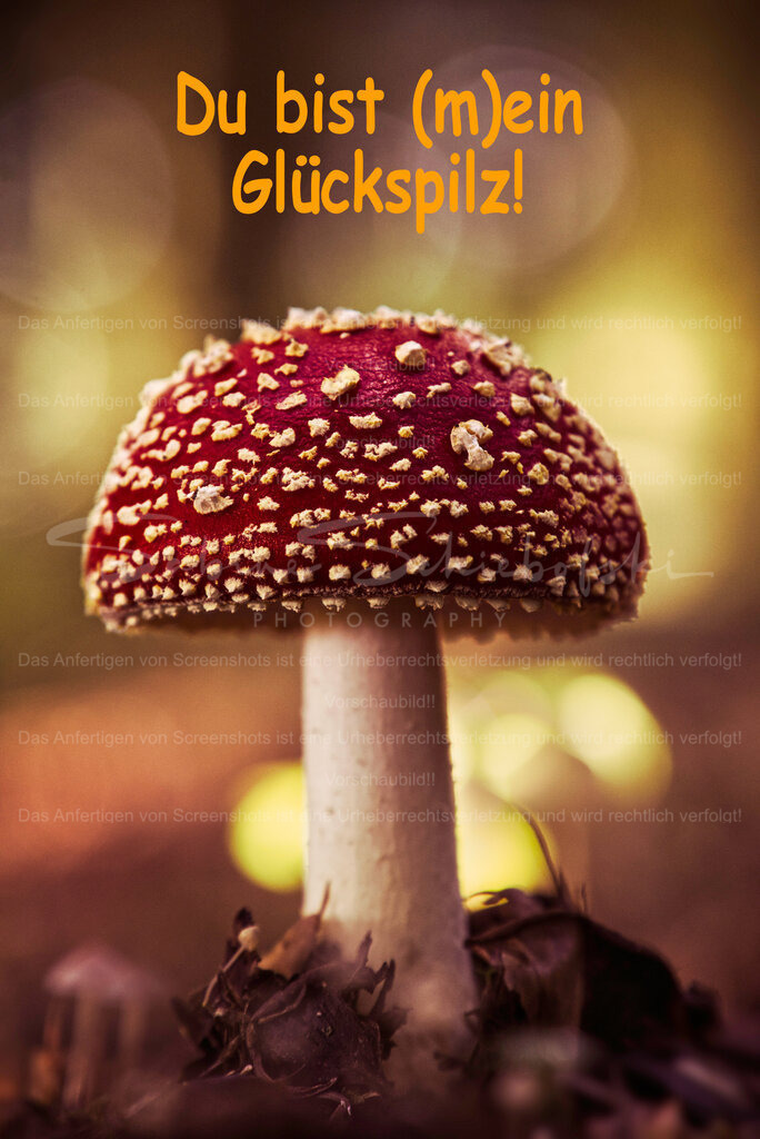 Postkarte "Du bist (m)ein Glückspilz" | People- und Tierfotografie, Imageaufnahmen, Veranstaltungsfotografie und Wandbilder aus der Natur ★ Made in Germany ✔️ Druck + Downloads ✔️ Naturfotografie in Top Qualität ★ schneller Versand, weltweite Lieferung! - Realisiert mit Pictrs.com
