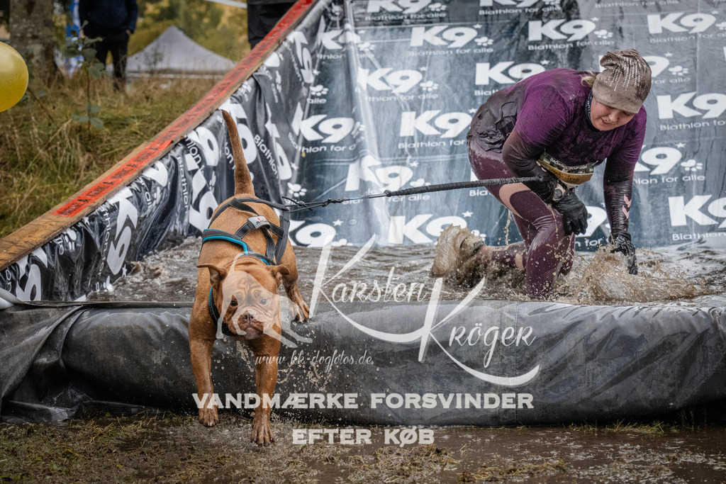 1157_ZZ94000 | kk-dogfotos