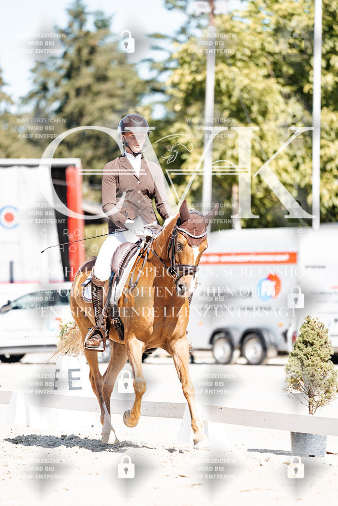 CK909071 | Turnierfotografie Pferdefotografie Trier Rheinland-Pfalz Pferdesport Reitsport Tierfotografie Sportfotografie Pferdevideo Pferdevideografie Equestrianvideography equestrianphotography  - Realisiert mit Pictrs.com