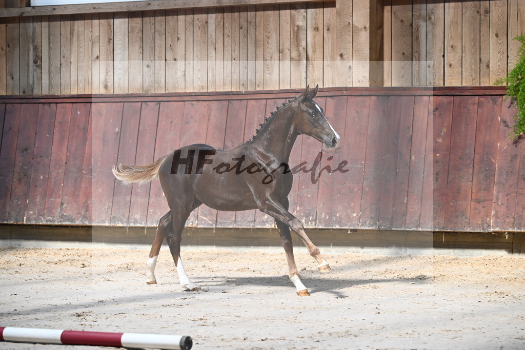 Kat-Nr. 3 Sky x Ritz Carlton_HF_Kastl_25250026 | hf-fotografie - Realizzato con Pictrs.com