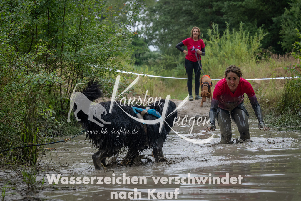 1313_ZZ93708 | kk-dogfotos