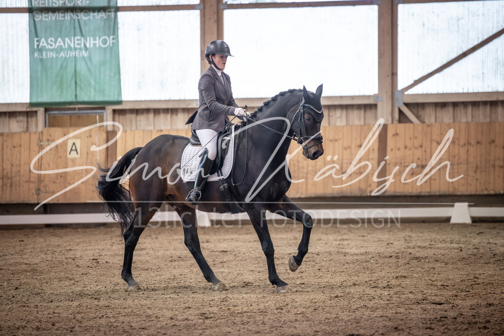 20251011-_3LI1918 | Tierfotografie Pferde, Hunde, Katzen, Haustiere.
Turnierfotografie Reitturniere, Reiten, Springreiten, Dressur in Hanau, dem Main-Kinzig-Kreis und dem Rhein-Main- Gebiet um Frankfurt
