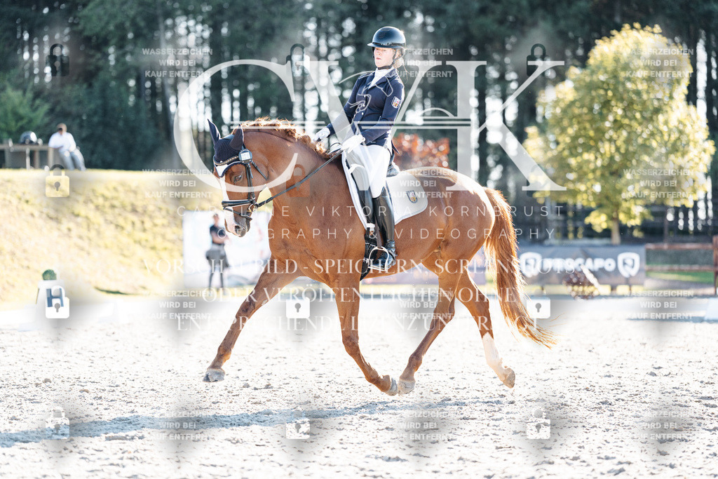 CK906879 | Turnierfotografie Pferdefotografie Trier Rheinland-Pfalz Pferdesport Reitsport Tierfotografie Sportfotografie Pferdevideo Pferdevideografie Equestrianvideography equestrianphotography  - Realisiert mit Pictrs.com