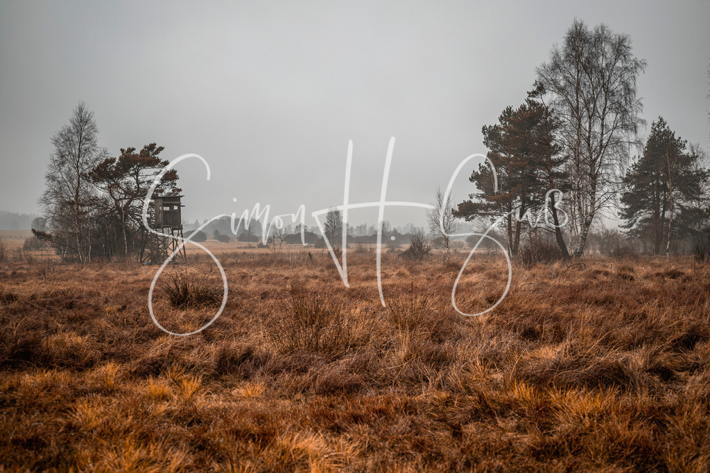 Georgenberger Moor | simonsuess - Realisiert mit Pictrs.com